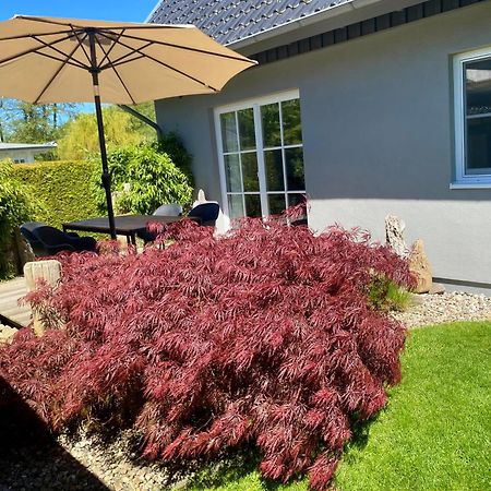 Ferienhaus Buhne 31 Prerow Eksteriør billede